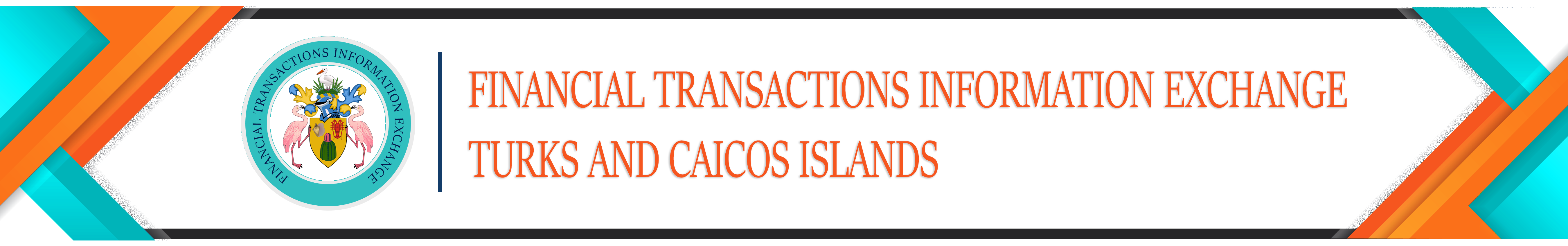 Financial Transactions Information Exchange